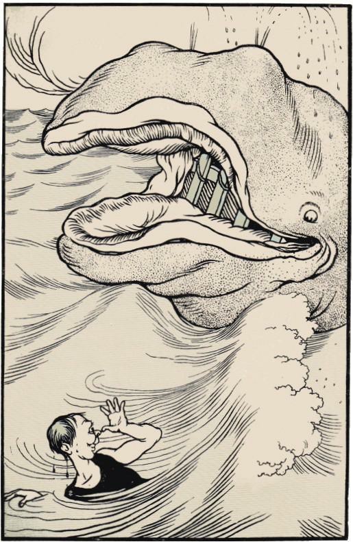 la balena illustrazione di Ugo Finozzi